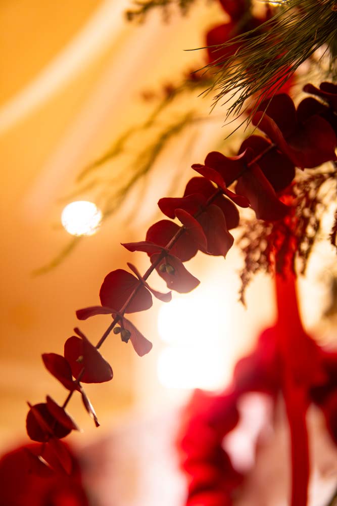 Posada Ruba 29